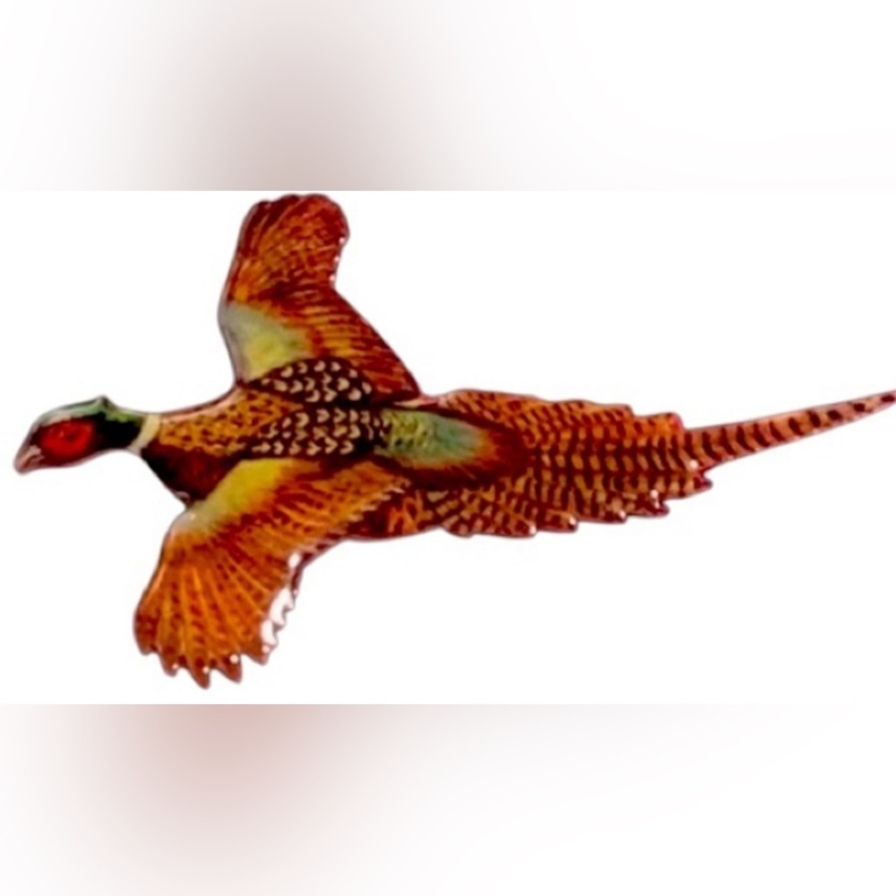 Regency, Cup & Saucer with Pheasant flying in orange evening sky. Bone China - Picture 4 of 8